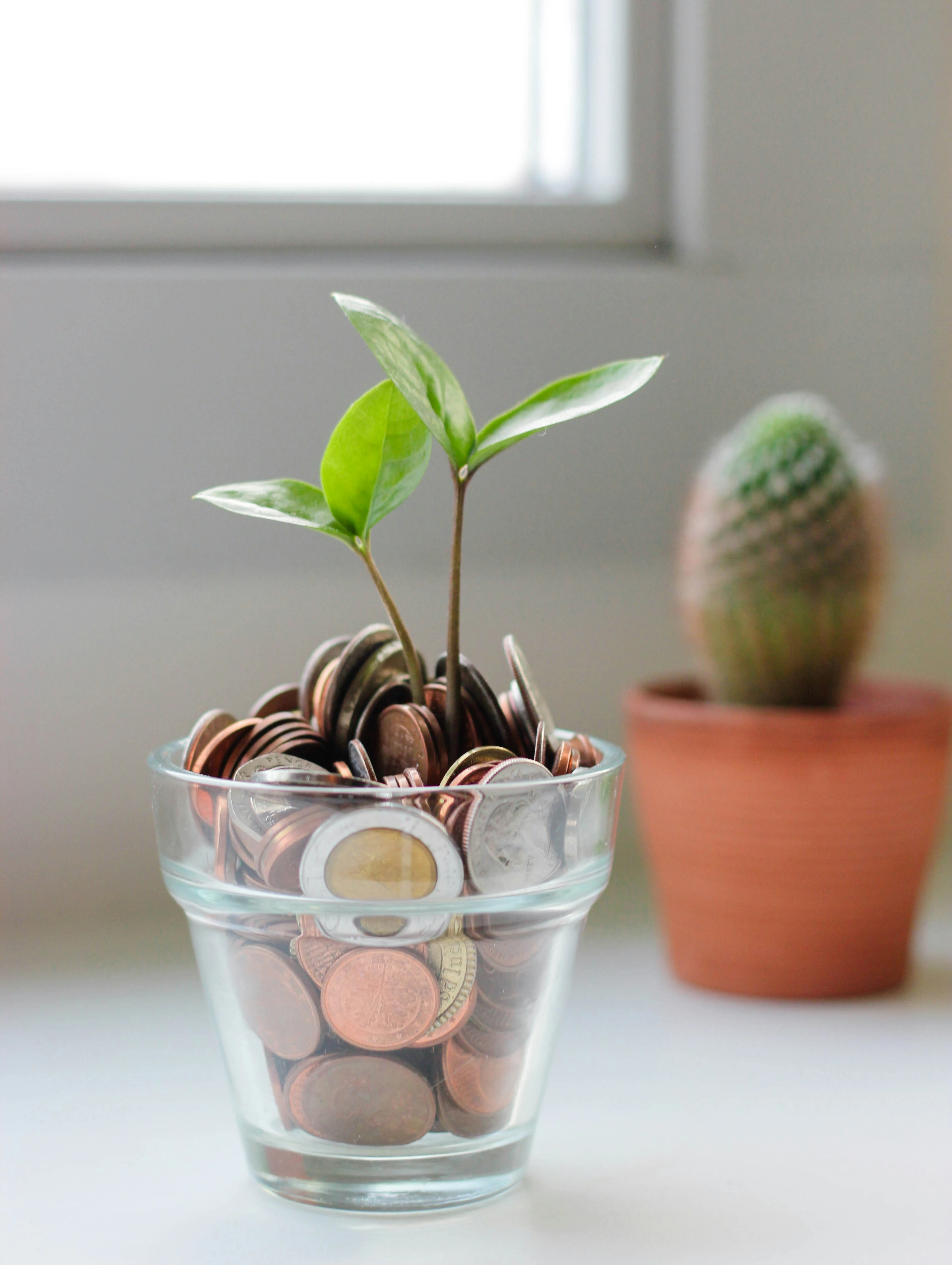 a cup of coins with a small green plant growing from it